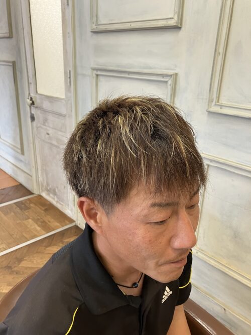 メッシュ