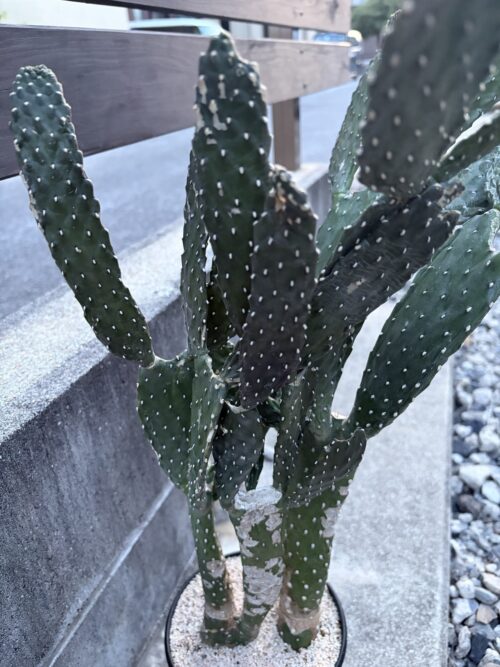 9月