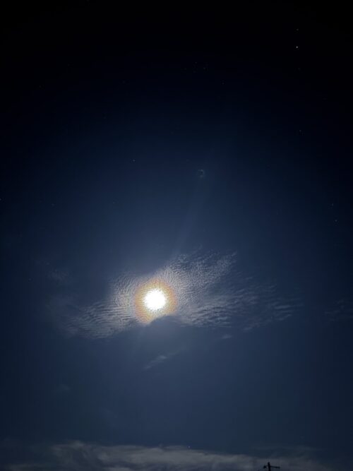 中秋の名月